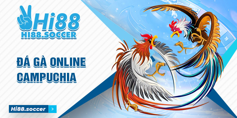 Đá Gà Online Campuchia - Cách Tham Gia Cá Độ Đá Gà Campuchia 7 Đá gà online campuchia