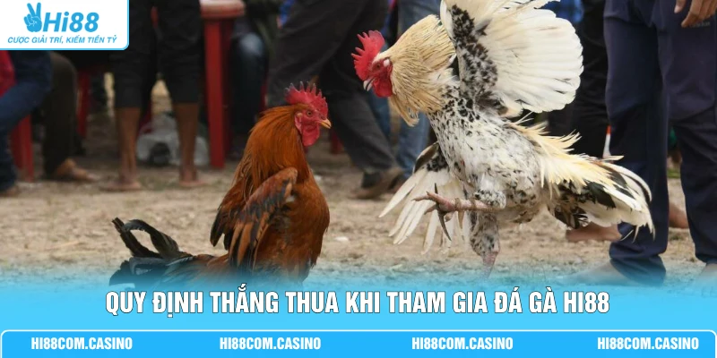 Quy định thắng thua khi tham gia đá gà Hi88