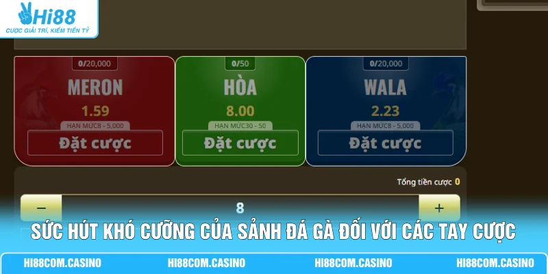 Sức hút khó cưỡng của sảnh đá gà đối với các tay cược
